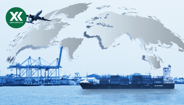 Các Khóa Học Về Xuất Nhập