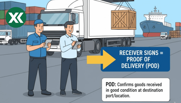 pod là gì trong xuất nhập khẩu