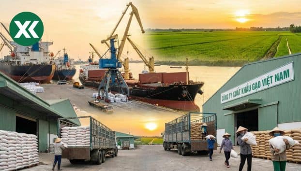 Việt Nam Xuất Khẩu Gạo Thứ Mấy Thế Giới